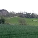 Le Mangoustan Kreol Opale *