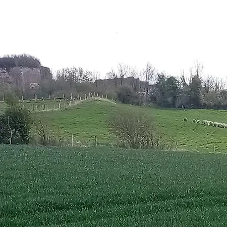 Le Mangoustan Kreol Opale *