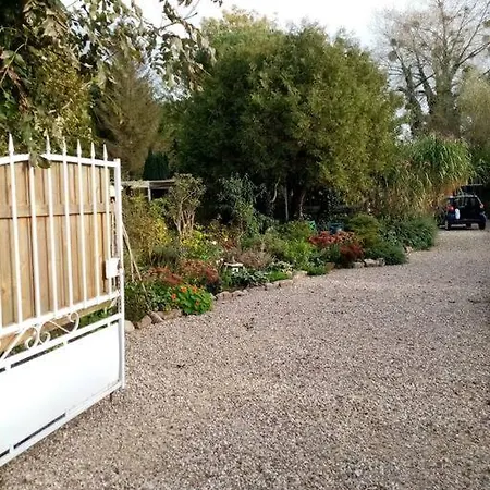 Le Mangoustan Kreol Opale *