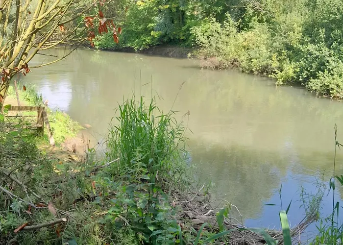 Le Mangoustan Kreol Opale * Attin