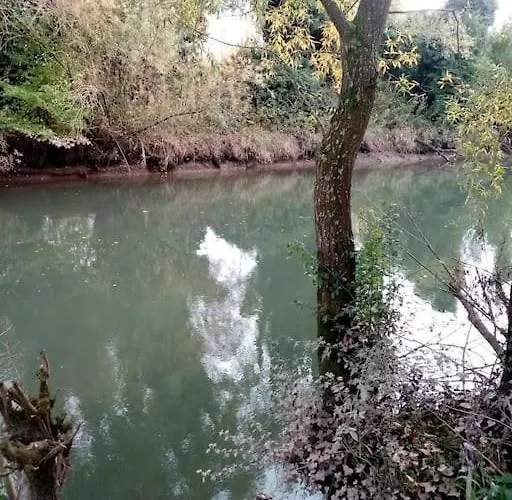 Le Mangoustan Kreol Opale Chalet *