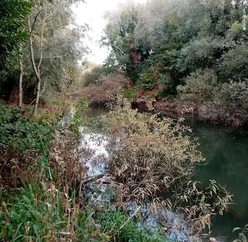 Chalet Le Mangoustan Kreol Opale *