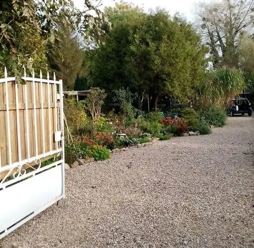 Le Mangoustan Kreol Opale *